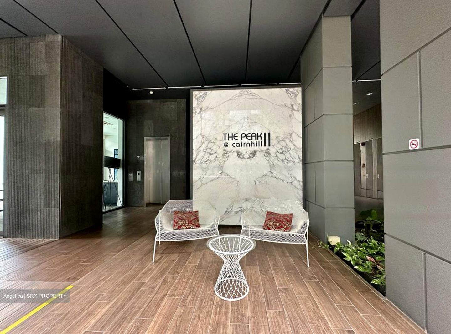 The Peak @ Cairnhill II (D9), Apartment #462898511
